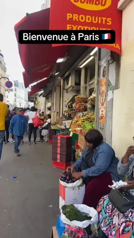 Bienvenue à Paris 🇫🇷#francetiktok🇫🇷 #france🇫🇷 #cotedivoire🇨🇮 #fly #sarcelles 