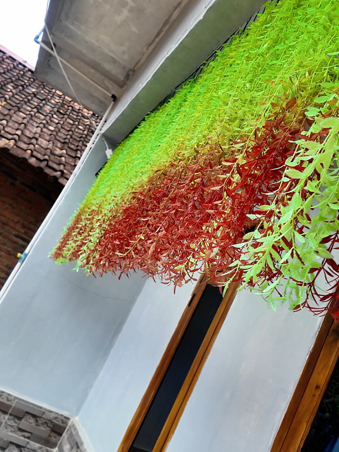 Membalas @andre19680 daun juntai plastik buat hiasan depan rumah #daunjuntai #daunjuntaiplastik #tanamanhias #tanamanviral #promoguncang 