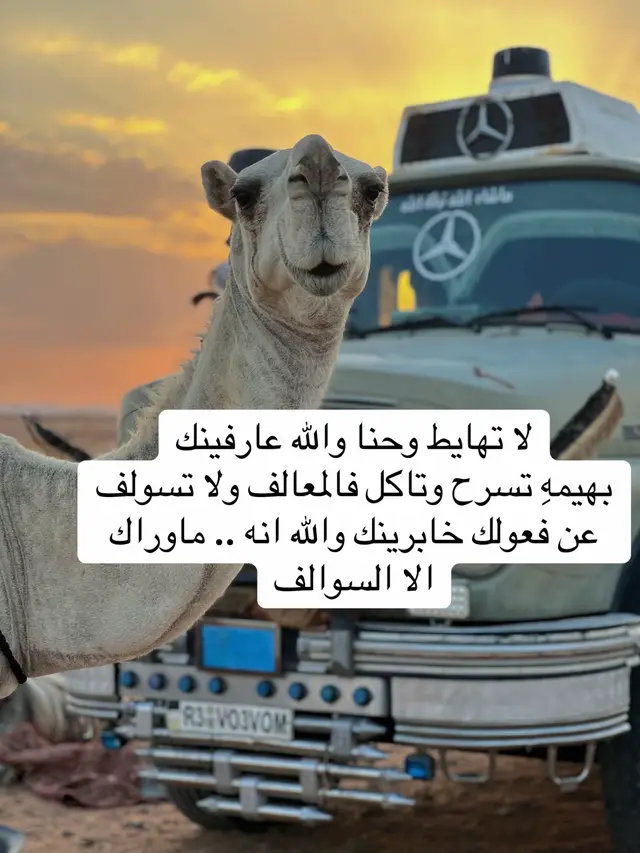 #ا #مالي_خلق_احط_هاشتاقات 