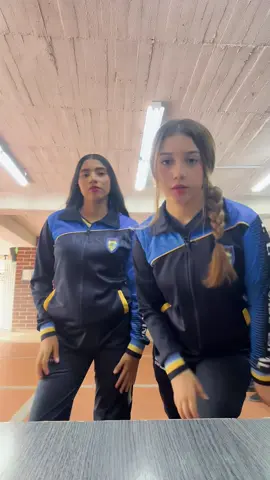 🇧🇷💙🩵