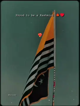 کشمیر کو تاقیامت اپنی جاگیر لکھوں 🍁👑  #kashmiri #standwithkashmir #kashmir #foryou #foryoupage 