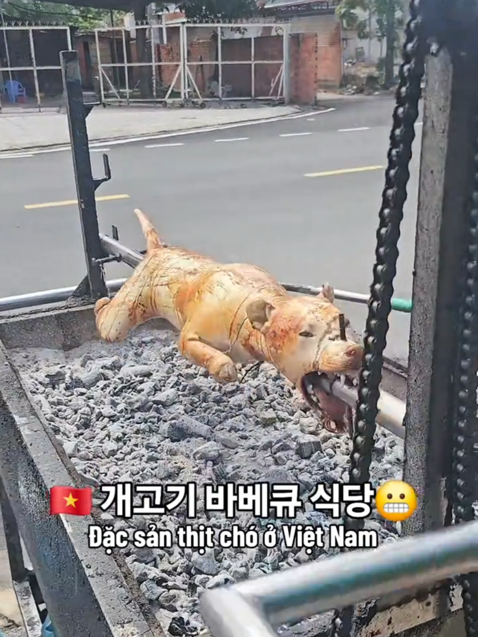 #hànquốc #vietnam #베트남음식 #베트남문화 #베트남여행 