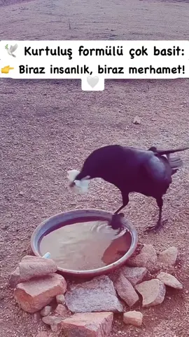 #😞#🤲#f