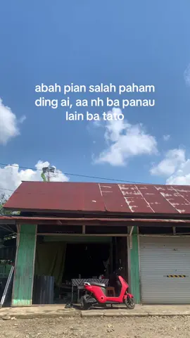 ini kabatulan wara ai ding ai panau nya gambar padang #upitagantar #fypbanjar #storybanjar #katakatabanjar #kandanganbungas  