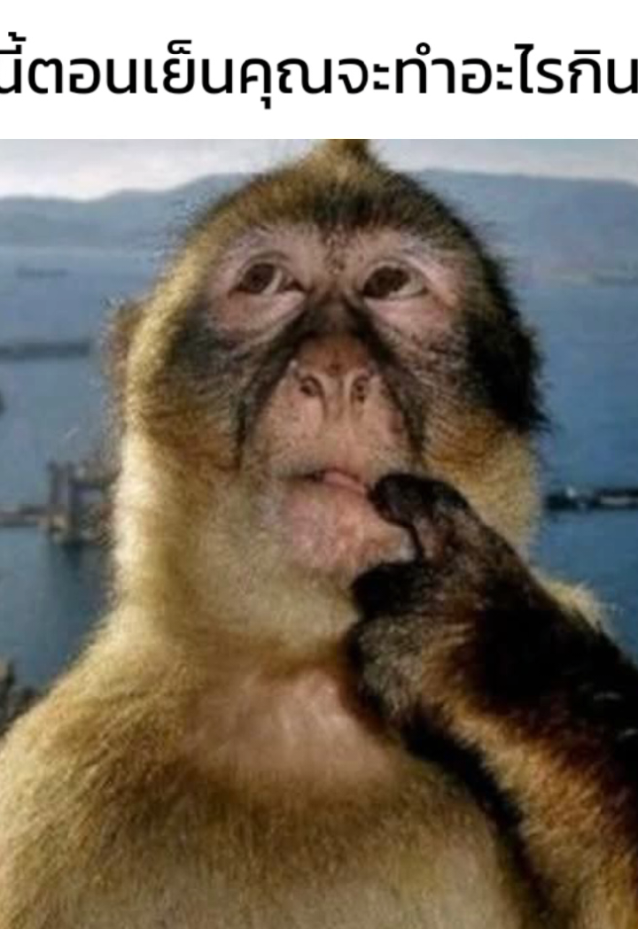 ฉันทำแจ่วฮ้อนกินตอนแลง #fyp 