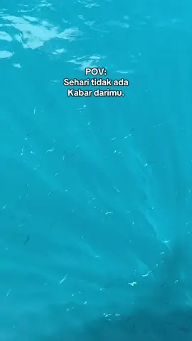 Rasa rasanya mau lompat kelaut aja abng dek😄🤣