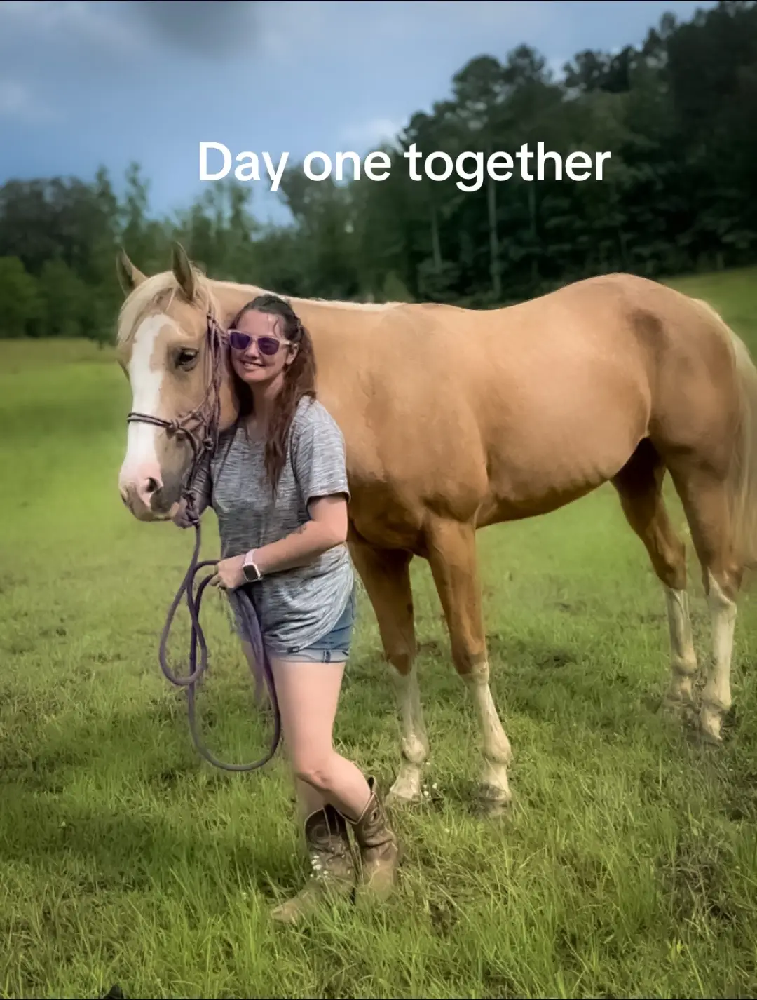 Every time I look at him I still have a hard time believing I own him. I have always loved my bay and gray babies and never dreamed of a Barbie horse but dang I truly believe he’s the best looking horse I’ve ever had and his personality is in the top 2 (only behind Diesel) and he could very well take first in that as time goes on. It’s such a blessing to own and work this horse and I cannot wait to see what our future looks like #palomino #fyp #horse #quarterhorse #aqha 