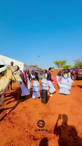 Xalfada supdaanka yesif maxamed 