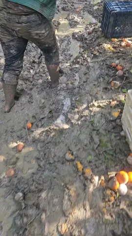 kışın çalışan tarım işçilerini hali budur keşfet 