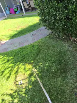 Lawn artist #yardwork#lawntok#grass#plants#fyp