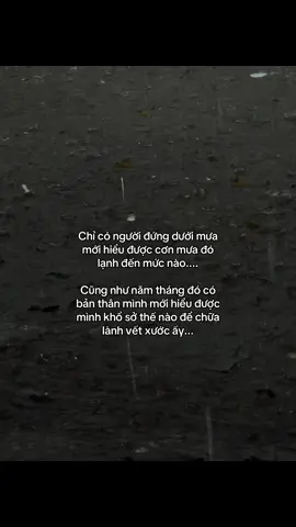 #tamtrang #story #lng10226 