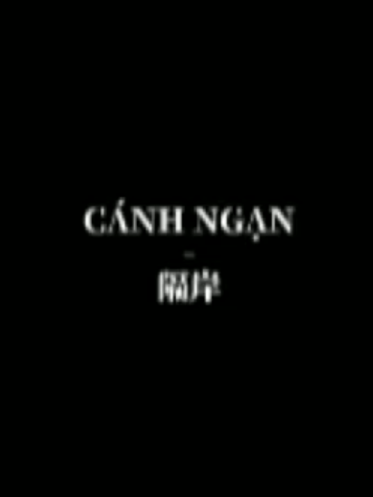 Song Name : CÁNH NGẠN / 隔岸 #canhngan #隔岸 #douyin  #pandaa_1508 