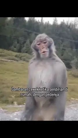 #masukberanda 