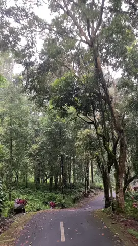 Cakep poll💚            #curugcipendok #curug #banyumas #fyppppppppppppppppppppppp 