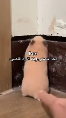 هههههههههههههههههههههههههههههههههههه #foryou 