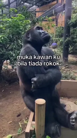 🤣🤣 #fyp 