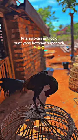 🥶#4upage #fyp  #ayamsuper