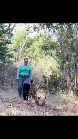 wanita bersahabat dengan kucing besar #viral #trending #tiktok #fyp 