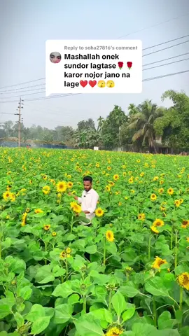 Replying to @soha27816 সফলতার ফুল