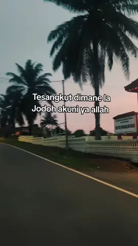 ngpo dak datang