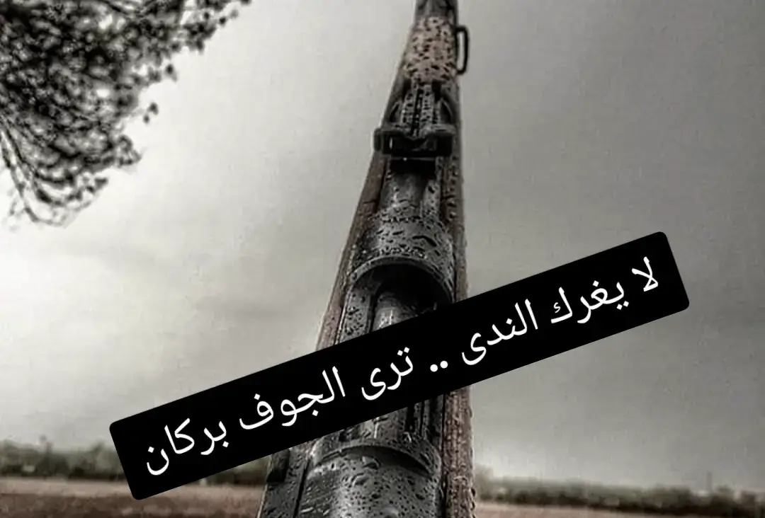 ‏لا يغرك الندى .. ترى الجوف بركان #قصيده_شعر_بوح_كلام_من_ذهب  #قصيده  #explo  #قصايد_شعر_خواطر  #___musically___ 