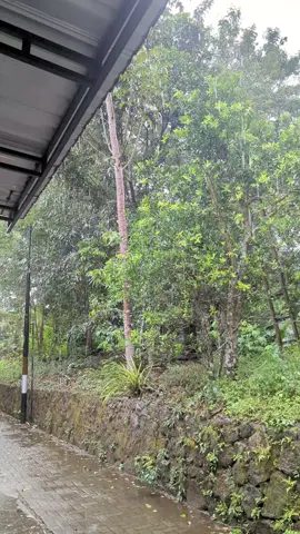 hujan yang membuat pikiran menjadi tenang di siang hari