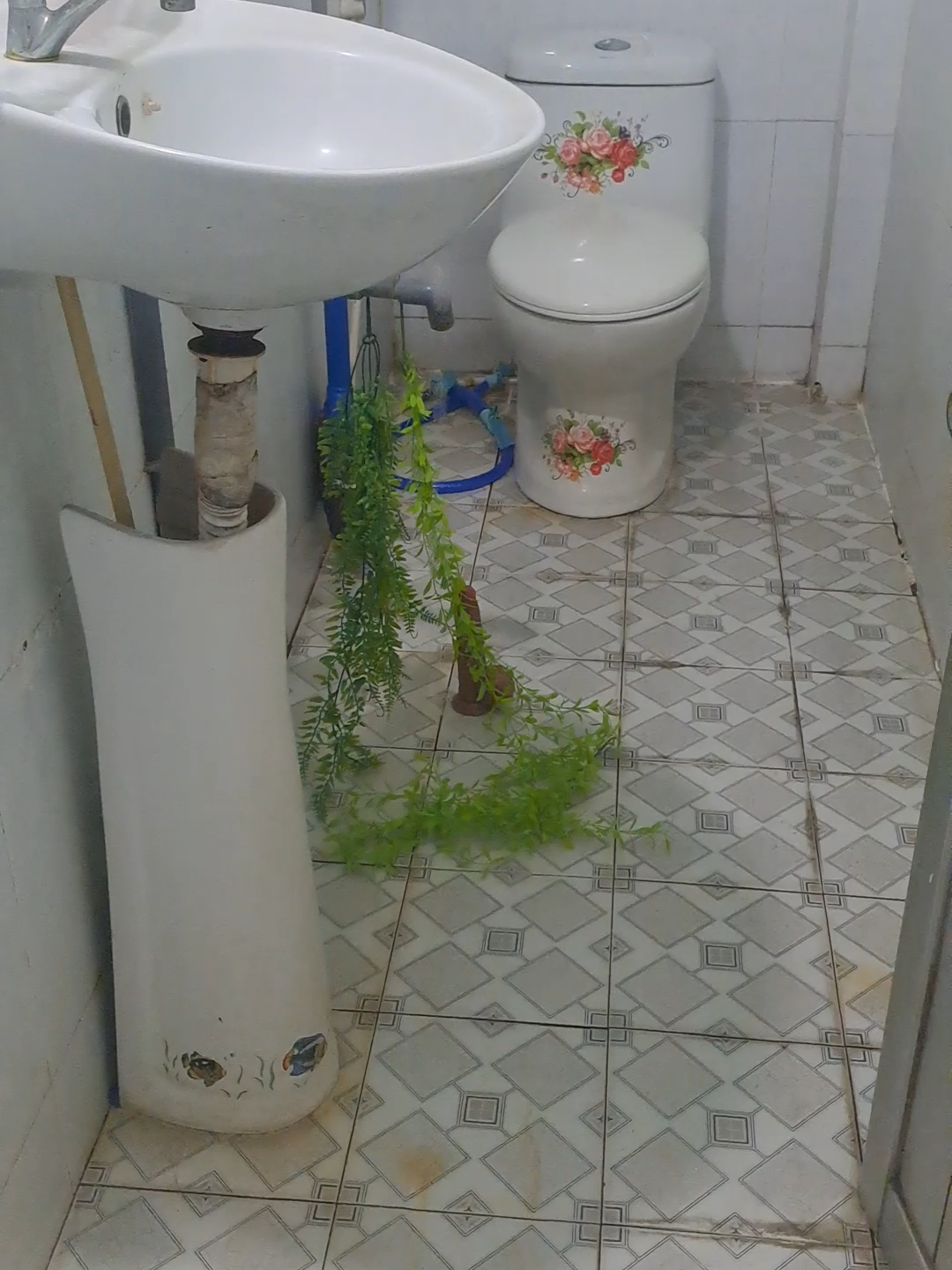 cây láp dính đất trữ tình #caylaptrutinh #caylap #caylapdinhdat #giacu #dochoi #giaitri #xuhướng