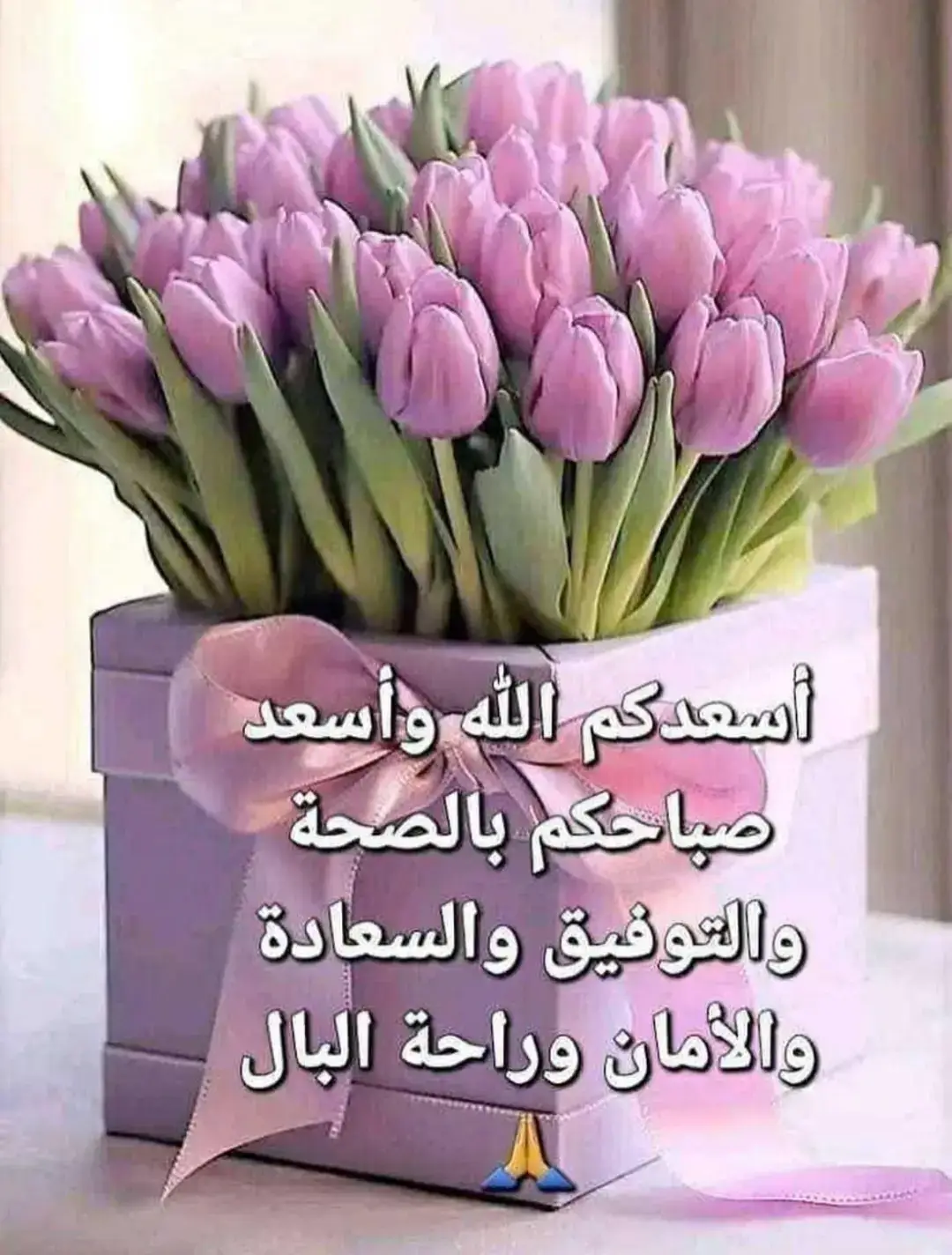 ##الجزائر🇩🇿_تونس🇹🇳_المغرب🇲🇦 #مصر_العراق_السعودية_تونس_المغرب_الجزائر #الجزائر🇩🇿_تونس🇹🇳_المغرب🇲🇦 