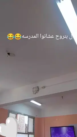 وزير السعاده في مصر😂😂🤍 #انترنت_غير_محدود_في_مصر #طالب_اولي_ثانوي #تابلت_الثانويه #مدارس #مصر 