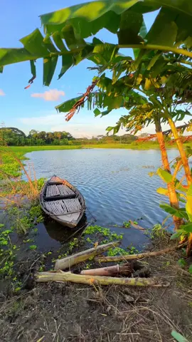 ভালোবাসা অন্তহীন.... বয়স সময়ে আটকায় না...🇧🇩❤️ #foryoupage #viralvideo #nature #ocean #boat 
