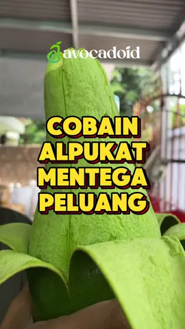 COBAIN ALPUKAT MENTEGA PELUANG🤤🤤 Kalau mau alpukat kalian kaya gini, tunggu sampai matang sempurna dan potong tipis dengan pisau ya 😊 #avocadoid #alpukat #mentega #peluang #lampung 