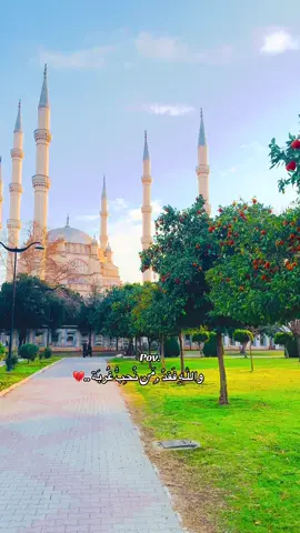 واللّٰـهِ فَقدُ مَن نُحِبُّ غُربَة 💔#ايان_السراوي 