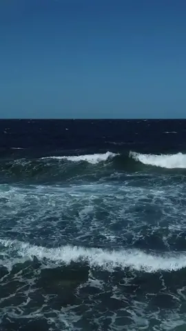 صࢪفه يااا..🤣🤣🤣