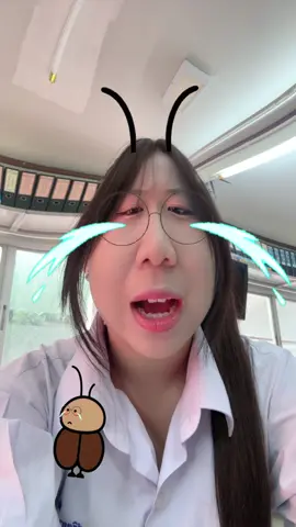 แว่นมานี่มา
