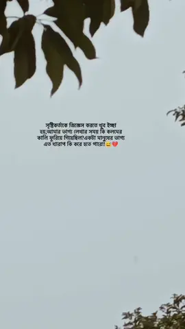 😅💔