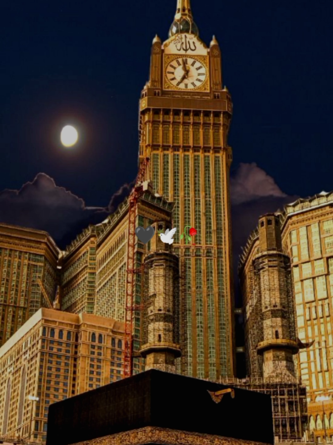 Always My Mind.... Also my dream...🫶🕊️🥀 #islamicquotes #islamicsayings #islamicwhatsappstatus 