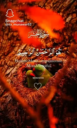 #fypシ゚ #viralvideo #tiktok #fyp