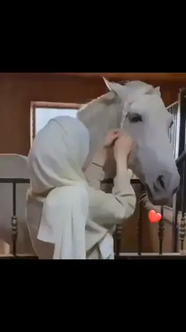 ዋ ነፍሲ🥺