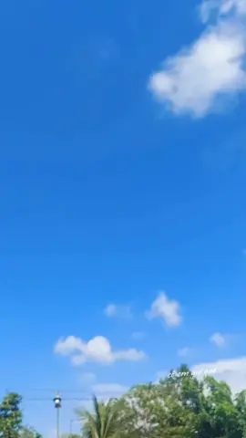 #tiktok #nghe nhạc Xuân cho có động lực để mà đi làm ### ##canhđepthiennhienvungque ## #nhackhongloi ##