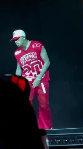 @chrisbrownofficial @TikTok @pinterest @R&B ONLY #chrisbrown #tiktokmixup #tamebreezy4life #followforfofllwback #chrisbrownofficial #followforfofllwback #kingofrnb👑 #livinglegend #chrisbrown #editvideos #1kviews #welovernb💜❤️ #likesforlikе #explorepage 