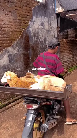 intinya perbanyak rasa syukurmu 🩸