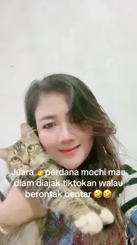 #kucinglucuindonesia #pencintakucingindonesia #fypシ゚viral #fyppageviraltiktokvideo #fyppppppppppppppppppppppp 