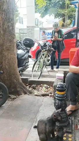 tertampar bgt ngeliat ojol tp bapaknya pake sepeda buat anter barang customer 🥺 sebelumnya maaf ya pak udh vidioin diem diem,semoga bapak tsb dimurahkan rezeki nya aamiin. #fyppppppppppppppppppppppp #ojol #fy #janganlupabersyukur #fyp 