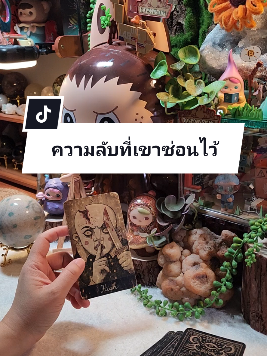 #โสด #สายมู #ดูดวง #ความรัก #แม่หมอปลั๊กกี้ 