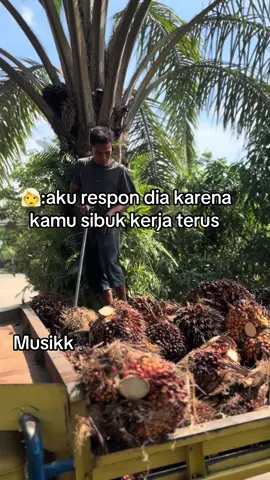 #masukberandafyp #xybcafyp #kulibuahsawit🌴🇮🇩 #fyppppppppppppppppppppppp #sawitbalapaumatra🚀🔥 #kuliboy🤙😜🚀☠️ 