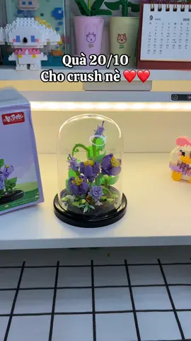 Trời ơi crush có đổ hk ta #laprap #20thang10 #laprapmohinh #giohoa #hoavinhcuu 