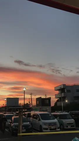 ✨