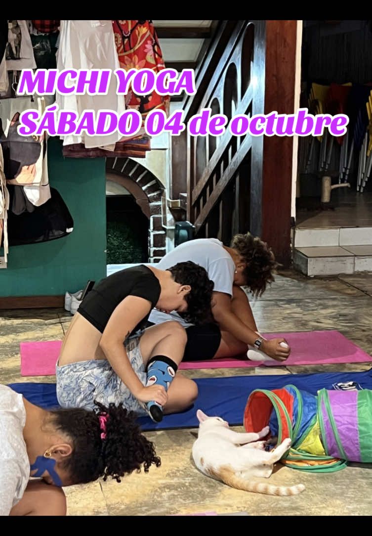 Los invitamos este sábado 4 de octubre a nuestro Michi yoga Pocos disponibles reserva tu cupo al + 584242583392  Cancela 3$ para reservar tu cupo y el restante el día de la clase todo lo recaudado va en beneficio de nuestros Michis  @sofi  ##yoga##cats##mich##gatit##caracas