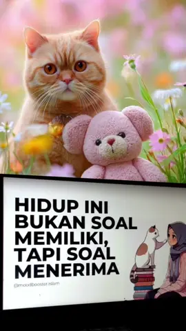 #abahkoeradio #catlover #radiotiktok #requeslagu #fyppppppppppppppppppppp 