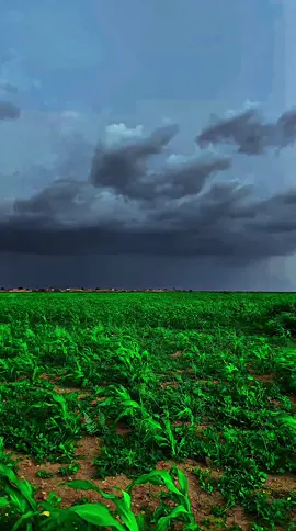 #مشاهير_تيك_توك_مشاهير_العرب #البطانة_جمال_البادية_والريف 